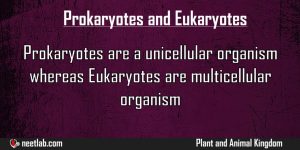 Difference Between Prokaryotes And Eukaryotes Plant And Animal Kingdom Explanation