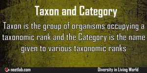 Difference Between Taxon And Category Diversity In Living World Explanation