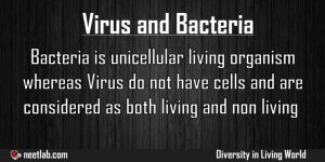 Difference Between Virus And Bacteria Diversity In Living World Explanation