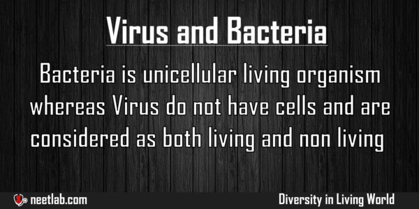 Difference Between Virus And Bacteria Diversity In Living World Explanation 