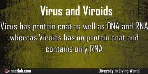 Difference Between Virus And Viroids Diversity In Living World Explanation