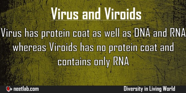 5 Differences between Viroids and Prions | Major Differences