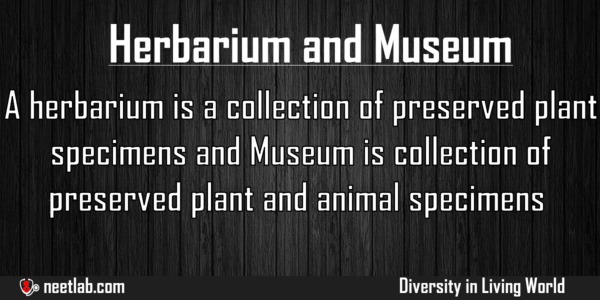 Difference Between Herbarium And Museum Diversity In Living World Explanation 