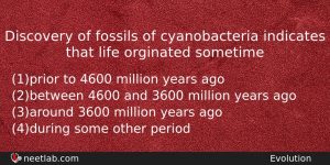 Discovery Of Fossils Of Cyanobacteria Indicates That Life Orginated Sometime Biology Question