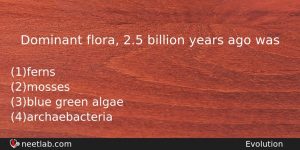 Dominant Flora 25 Billion Years Ago Was Biology Question