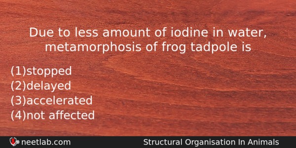 Due To Less Amount Of Iodine In Water Metamorphosis Of Biology Question 