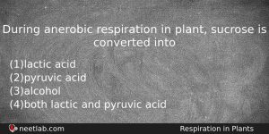 During Anerobic Respiration In Plant Sucrose Is Converted Into Biology Question