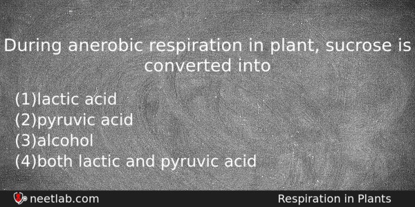 During Anerobic Respiration In Plant Sucrose Is Converted Into Biology Question 