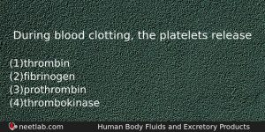 During Blood Clotting The Platelets Release Biology Question