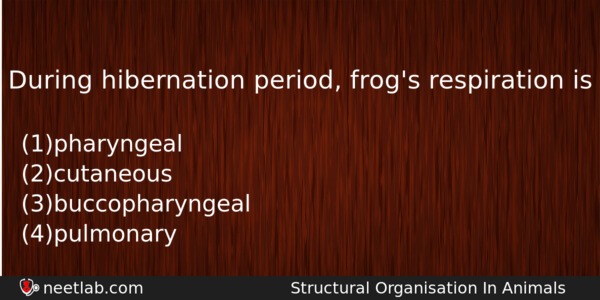 During Hibernation Period Frogs Respiration Is Biology Question 