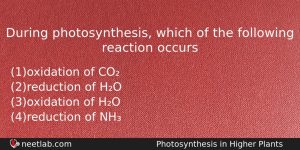 During Photosynthesis Which Of The Following Reaction Occurs Biology Question