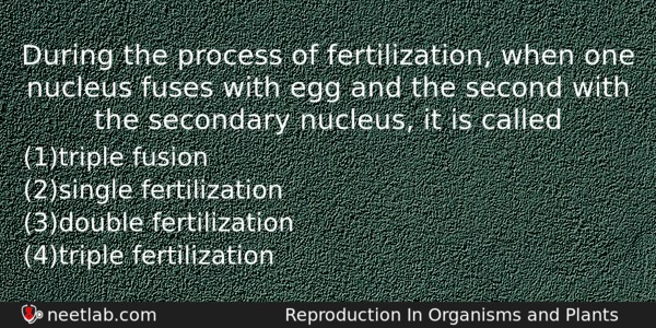 During The Process Of Fertilization When One Nucleus Fuses With Biology Question 