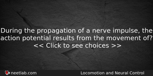 During The Propagation Of A Nerve Impulse The Action Potential Biology Question 