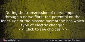 During The Transmission Of Nerve Impulse Through A Nerve Fibre Biology Question