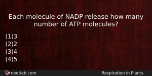 Each Molecule Of Nadp Release How Many Number Of Atp Biology Question