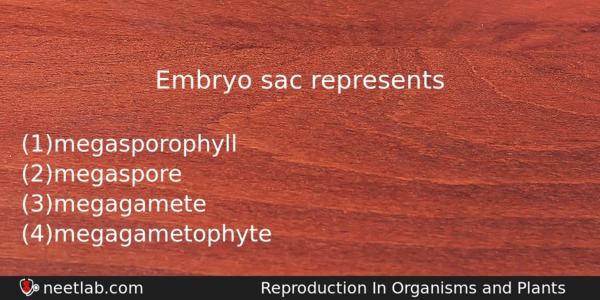 Embryo Sac Represents Biology Question 