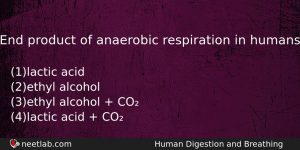 End Product Of Anaerobic Respiration In Humans Biology Question