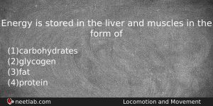 Energy Is Stored In The Liver And Muscles In The Biology Question