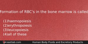 Formation Of Rbcs In The Bone Marrow Is Called Biology Question