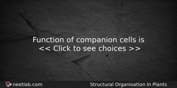 Function Of Companion Cells Is Biology Question 