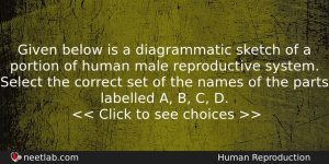 Given Below Is A Diagrammatic Sketch Of A Portion Of Biology Question