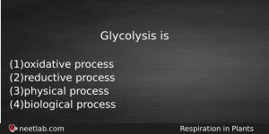 Glycolysis Is Biology Question