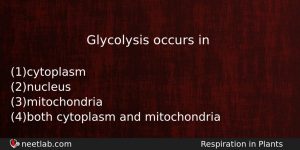 Glycolysis Occurs In Biology Question