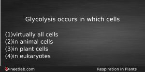 Glycolysis Occurs In Which Cells Biology Question