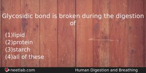 Glycosidic Bond Is Broken During The Digestion Of Biology Question