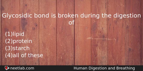 Glycosidic Bond Is Broken During The Digestion Of Biology Question 