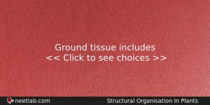 Ground Tissue Includes Biology Question