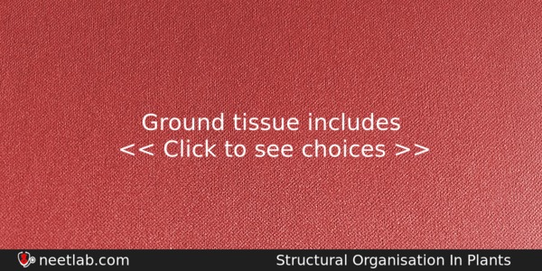 Ground Tissue Includes Biology Question 