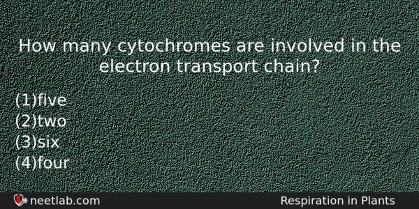 How Many Cytochromes Are Involved In The Electron Transport Chain Biology Question 