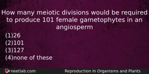 How Many Meiotic Divisions Would Be Required To Produce 101 Biology Question