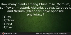 How Many Plants Among China Rose Ocimum Sunower Mustard Alstonia Biology Question