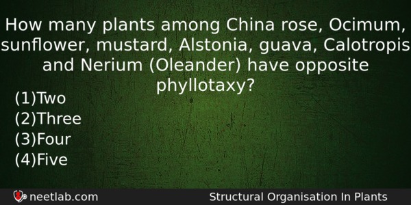 How Many Plants Among China Rose Ocimum Sunower Mustard Alstonia Biology Question 