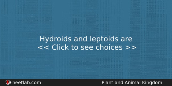 Hydroids And Leptoids Are Biology Question 