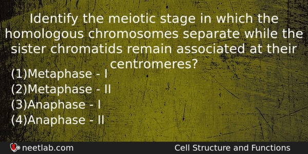 Identify The Meiotic Stage In Which The Homologous Chromosomes Separate Biology Question 