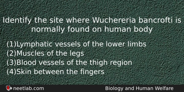 Identify The Site Where Wuchereria Bancrofti Is Normally Found On Biology Question 