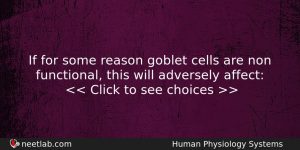 If For Some Reason Goblet Cells Are Non Functional This Biology Question