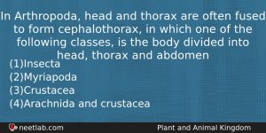 In Arthropoda Head And Thorax Are Often Fused To Form Biology Question