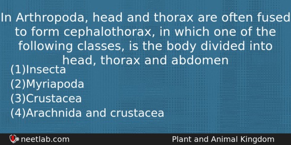 In Arthropoda Head And Thorax Are Often Fused To Form Biology Question 
