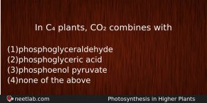 In C Plants Co Combines With Biology Question
