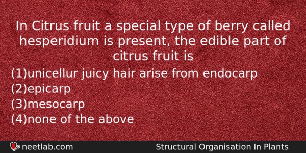 In Citrus Fruit A Special Type Of Berry Called Hesperidium Biology Question 