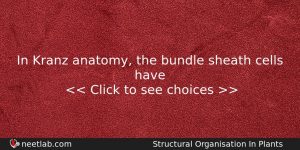 In Kranz Anatomy The Bundle Sheath Cells Have Biology Question