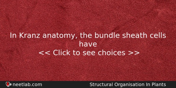 In Kranz Anatomy The Bundle Sheath Cells Have Biology Question 
