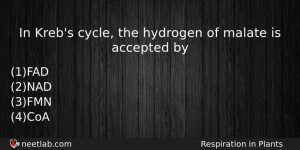 In Krebs Cycle The Hydrogen Of Malate Is Accepted By Biology Question