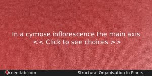In A Cymose Inorescence The Main Axis Biology Question