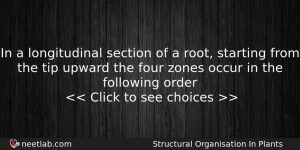 In A Longitudinal Section Of A Root Starting From The Biology Question