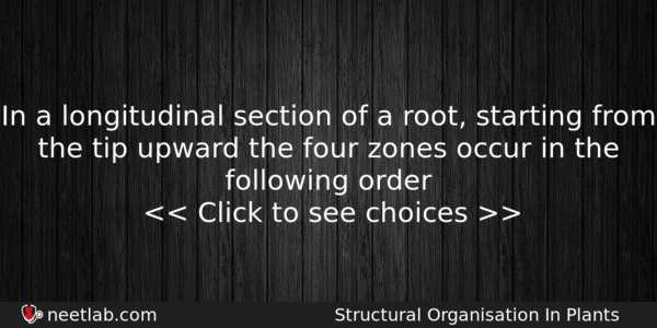 In A Longitudinal Section Of A Root Starting From The Biology Question 